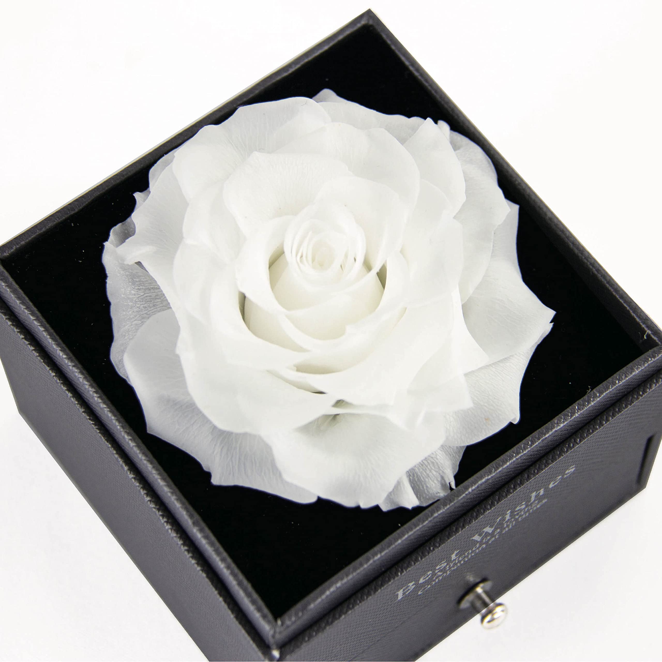 Real Preserved White Rose Gift Box - Eternal Roses for Women, Wife, Girlfriend, Mom - Perfect for Birthday, Anniversary & Valentine's Day - Romantic Home Decor & Luxury Keepsake