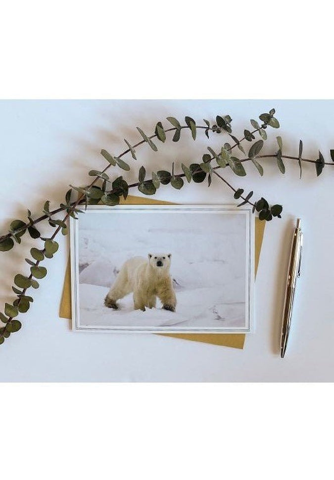 From My Angle Photography Notecards - Premium Blank Note Cards for Greetings, Thank You Notes & Special Occasions - Perfect for Handwritten Messages, Gifts & Stationery Lovers