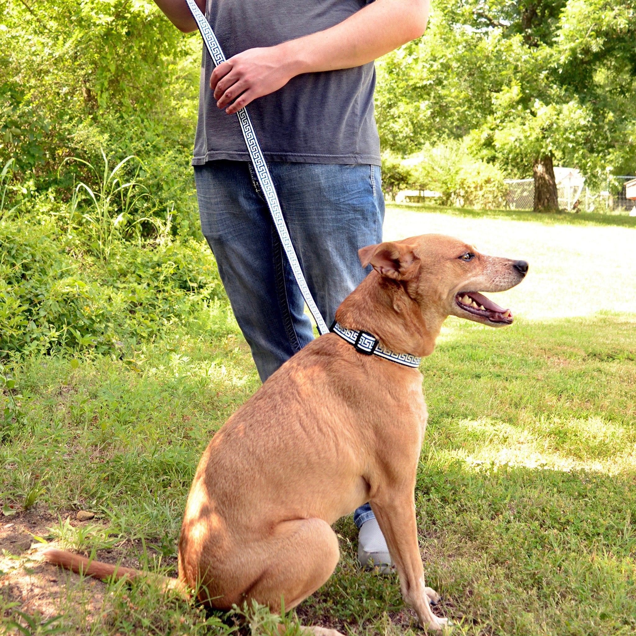 National Archives Heavy Duty Dog Leash - Strong & Durable Reflective Pet Leash for Large Dogs - Perfect for Walking, Running, and Outdoor Adventures