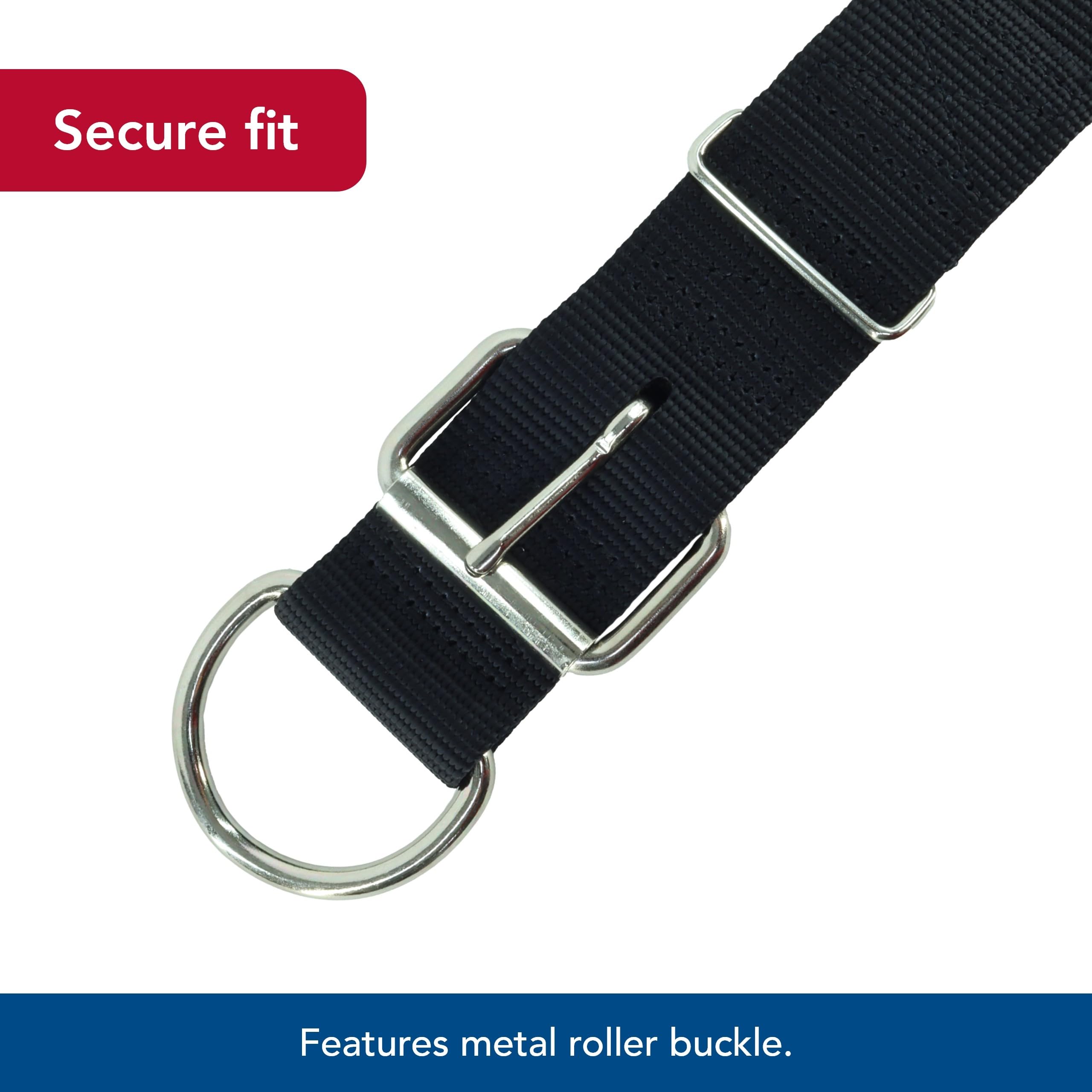 **Coastal Pet Macho Dog Collar - Heavy-Duty Double-Ply Nylon with Roller Buckle - Comfortable & Durable Pet Collar for Large Dogs - Black, 20