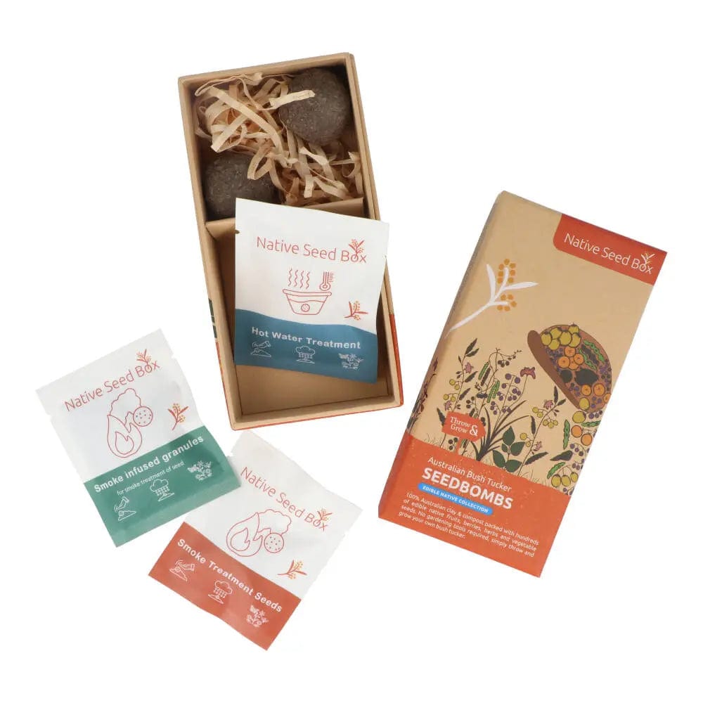 Native Seed Box Seed Bomb Collections - Wildflower & Herb Seed Bombs for Eco-Friendly Gardening, Pollinator Gardens & DIY Landscaping