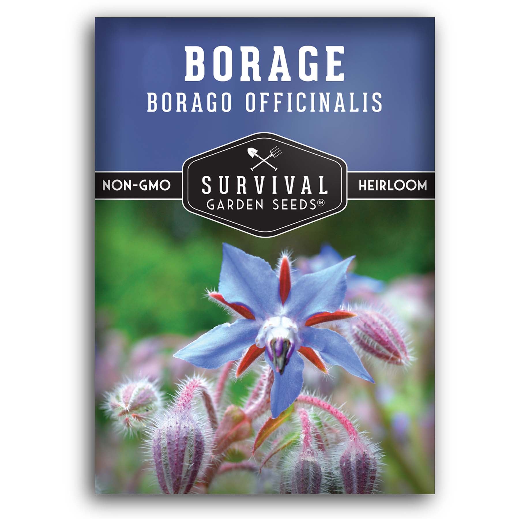 Organic Borage Seeds for Planting - Non-GMO, Heirloom Herb Seeds for Garden, Kitchen & Medicinal Use - Perfect for Teas, Salads, and Pollinator Gardens
