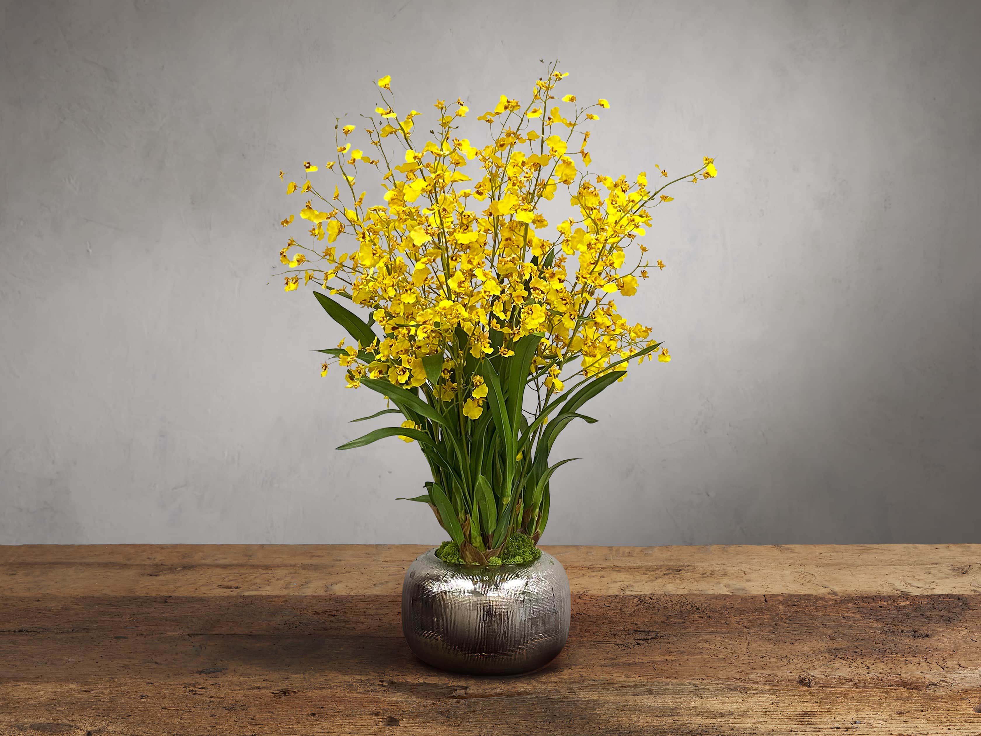 Artificial Dancing Orchid Flower in Decorative Pot - Elegant Home & Office Decor for Living Room, Desk, or Gift