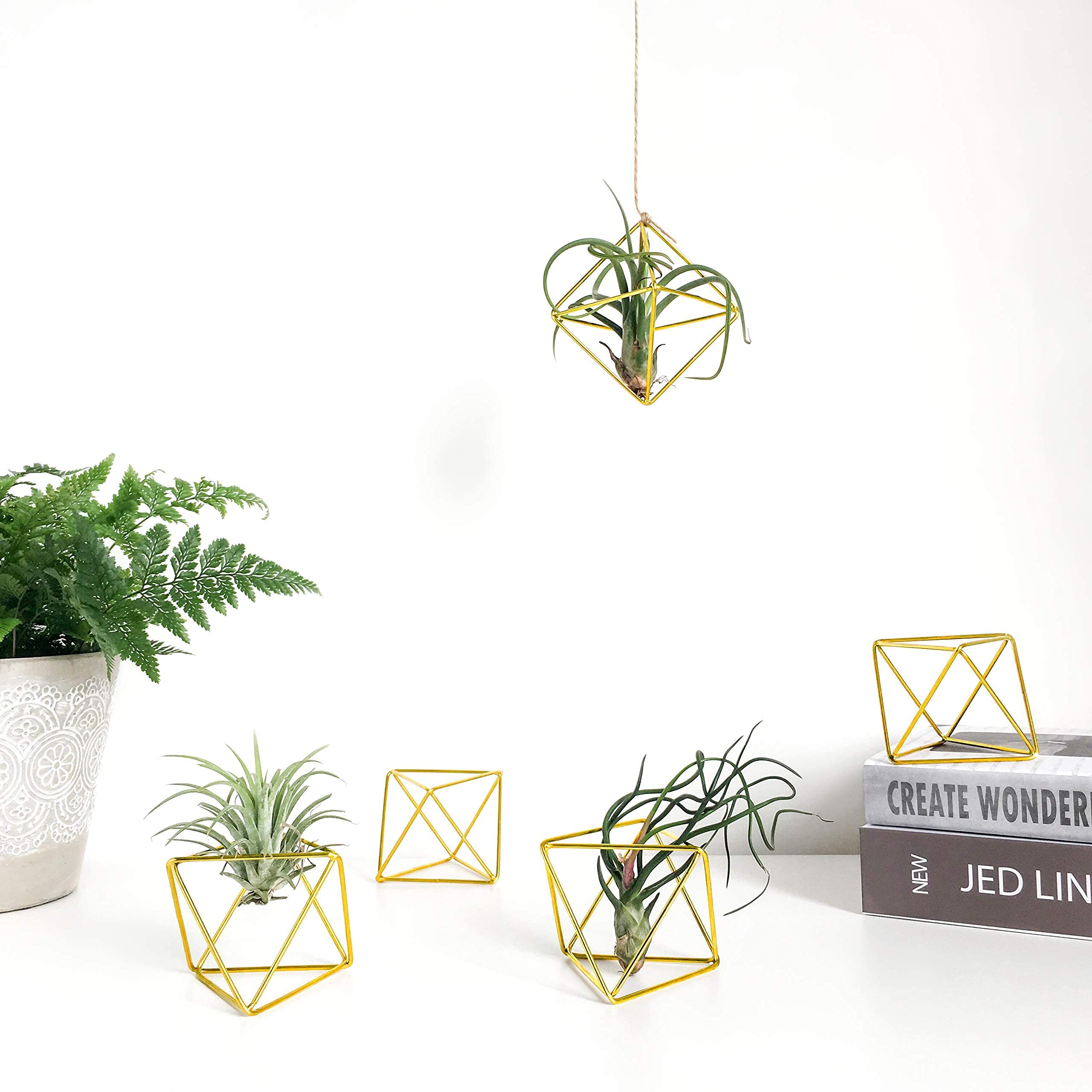 Mkono Set of 8 Mini Glass Geometric Terrarium Containers - Modern Air Plant Holders & Metal Tabletop Himmeli Decor for Home, Office, Christmas & Wedding Gifts (Gold) | Perfect for Indoor Plants, Succulents, and Home Décor