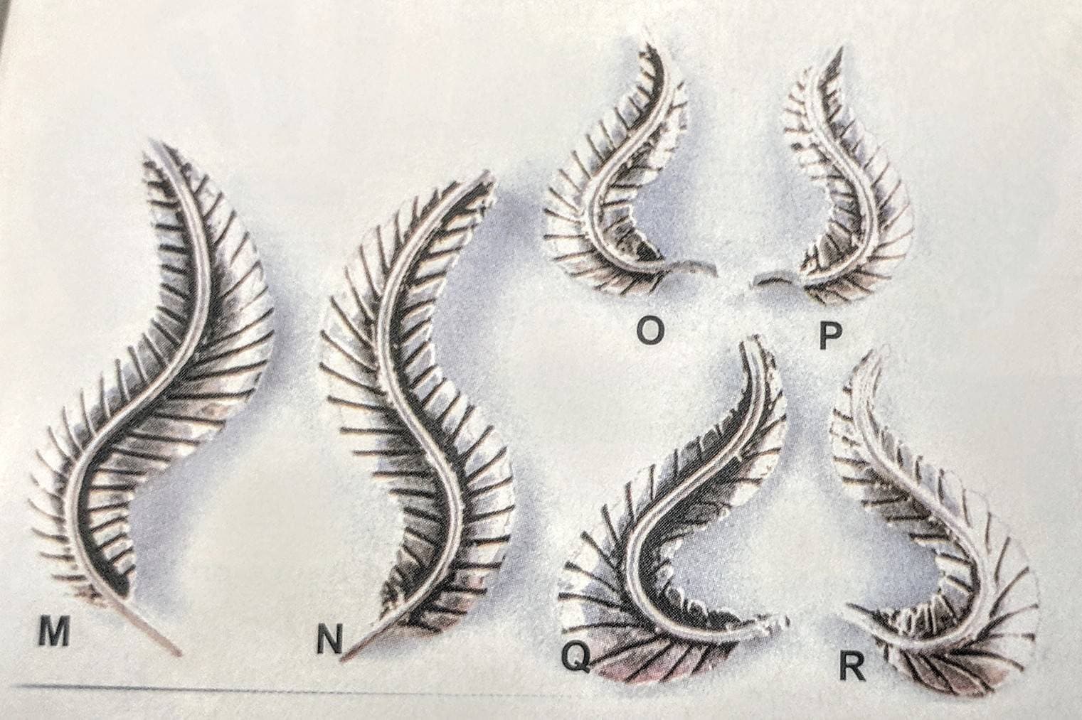 Solid Sterling Silver Leaf Charms - Small, Medium, Large Rough Casted Antique Leaves for Jewelry Making | Perfect for Silversmiths, DIY Necklaces & Handmade Bracelets
