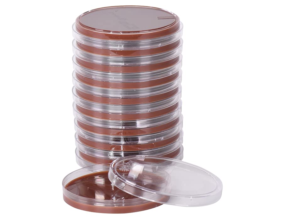 Hardy Diagnostics Chocolate Agar Plates (GC Agar Base with 1% Bovine Hemoglobin & Coenzyme Supplement) - 15x100mm, Pack of 100 - Ideal for Cultivating Fastidious Bacteria in Clinical & Research Laboratories