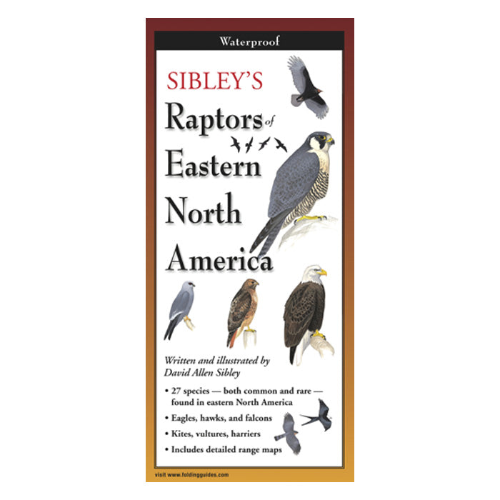 Sibley's Raptors of Eastern North America - Waterproof Bird Identification Folding Guide for Birdwatching, Hiking & Outdoor Adventures
