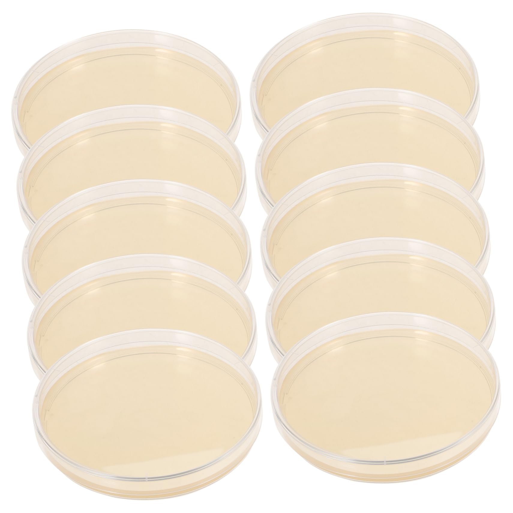 10pcs Nutrient Agar Petri Dishes - Borosilicate Glass Lab Plates for Microbiology Experiments | Perfect for Bacterial Cultures, Science Classrooms & DIY Biology Projects
