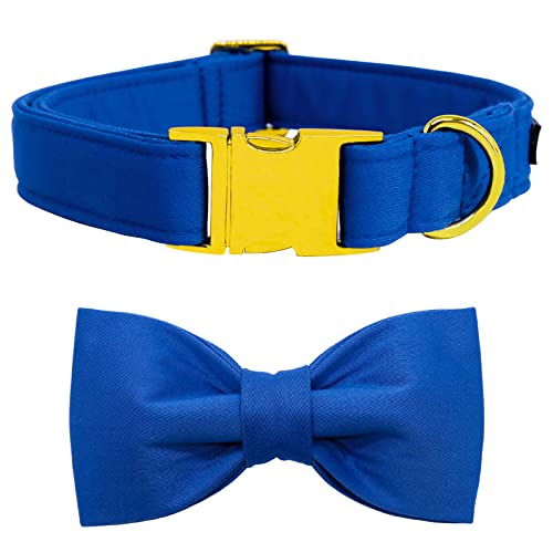 suit-blue