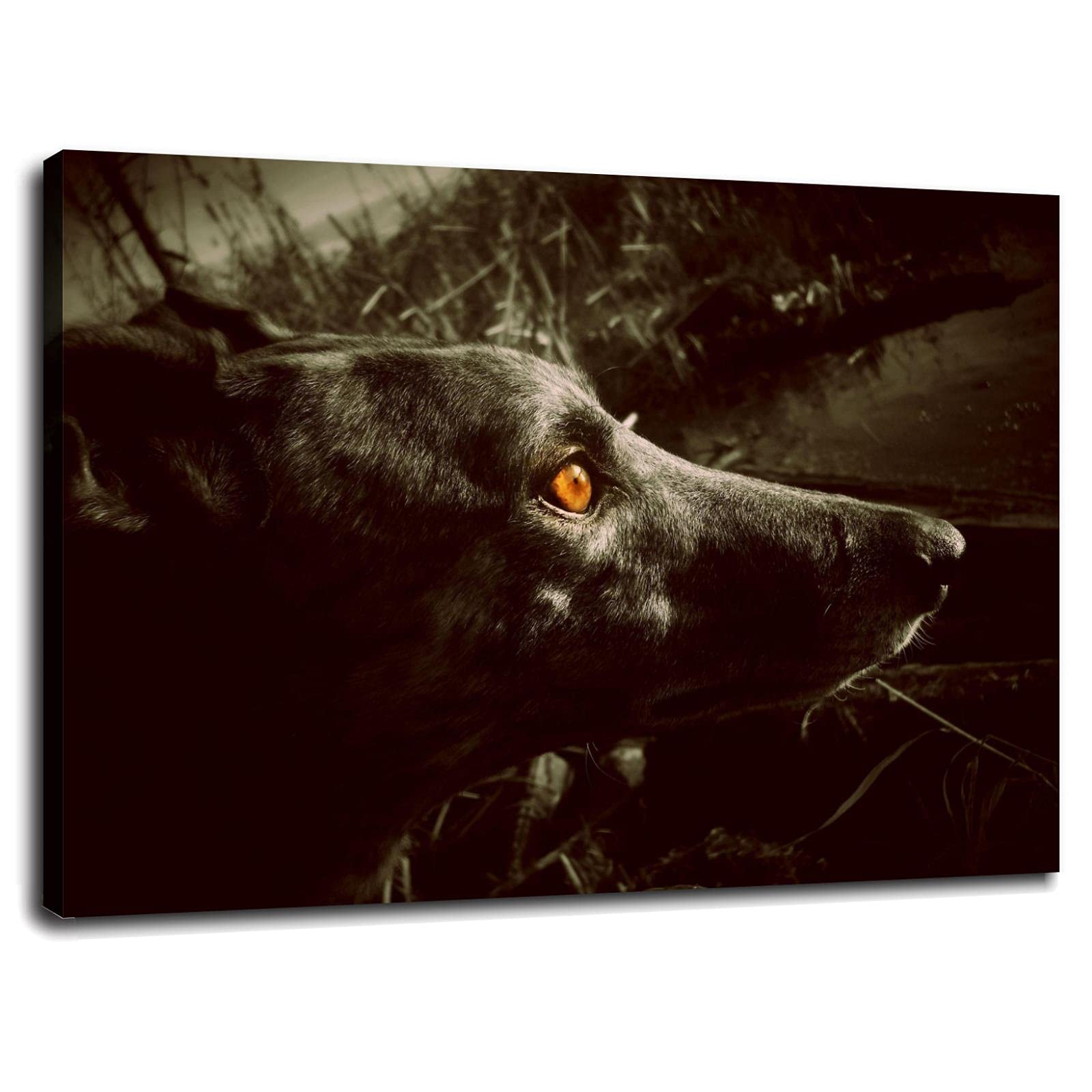 Black Dog Racing Canvas Wall Art - 32x24 Inch Framed Office Decor Poster for Home & Office - Perfect for Living Room, Bedroom, or Workspace Decorations