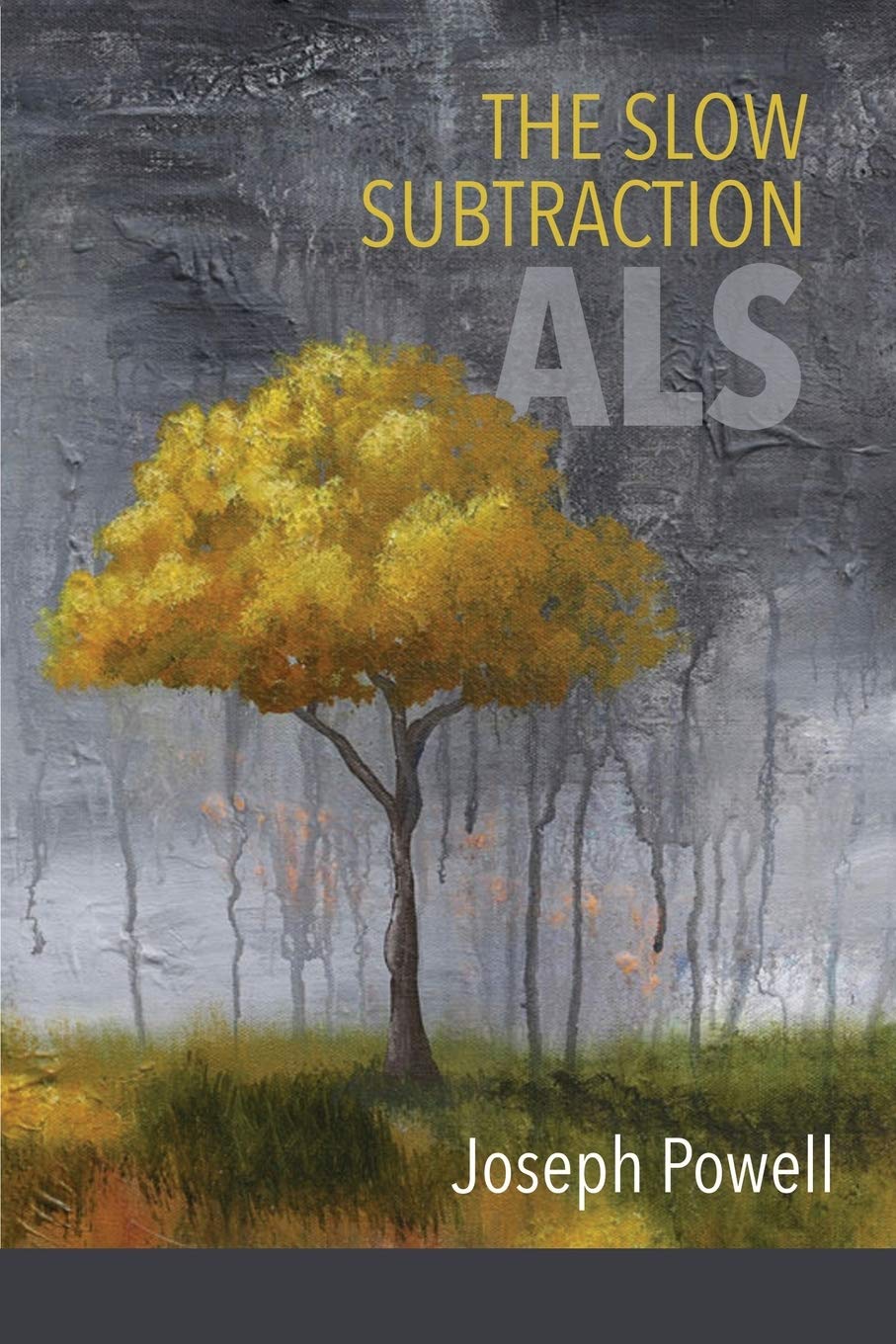 The Slow Subtraction: A.L.S. - A Powerful Novel About Life & Loss | Inspiring Book for Book Clubs & Thoughtful Readers