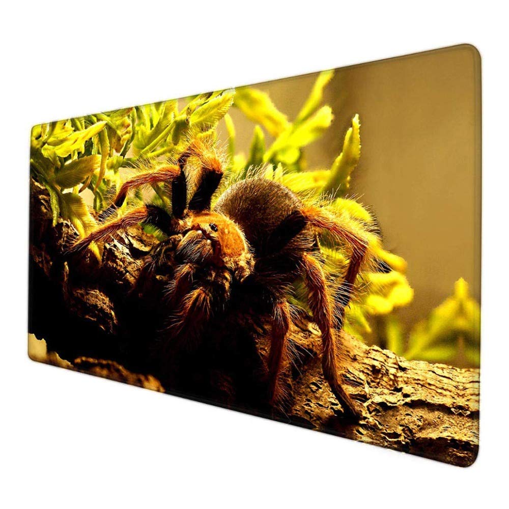 Large Gaming Mouse Pad 800x300mm - Cute Desk Mat for Computer, Office & Esports - Non-Slip Keyboard Pad for Students & Gamers - Perfect for Work, Study & Gaming Setups