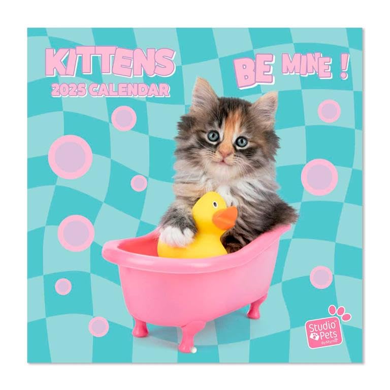 Kittens