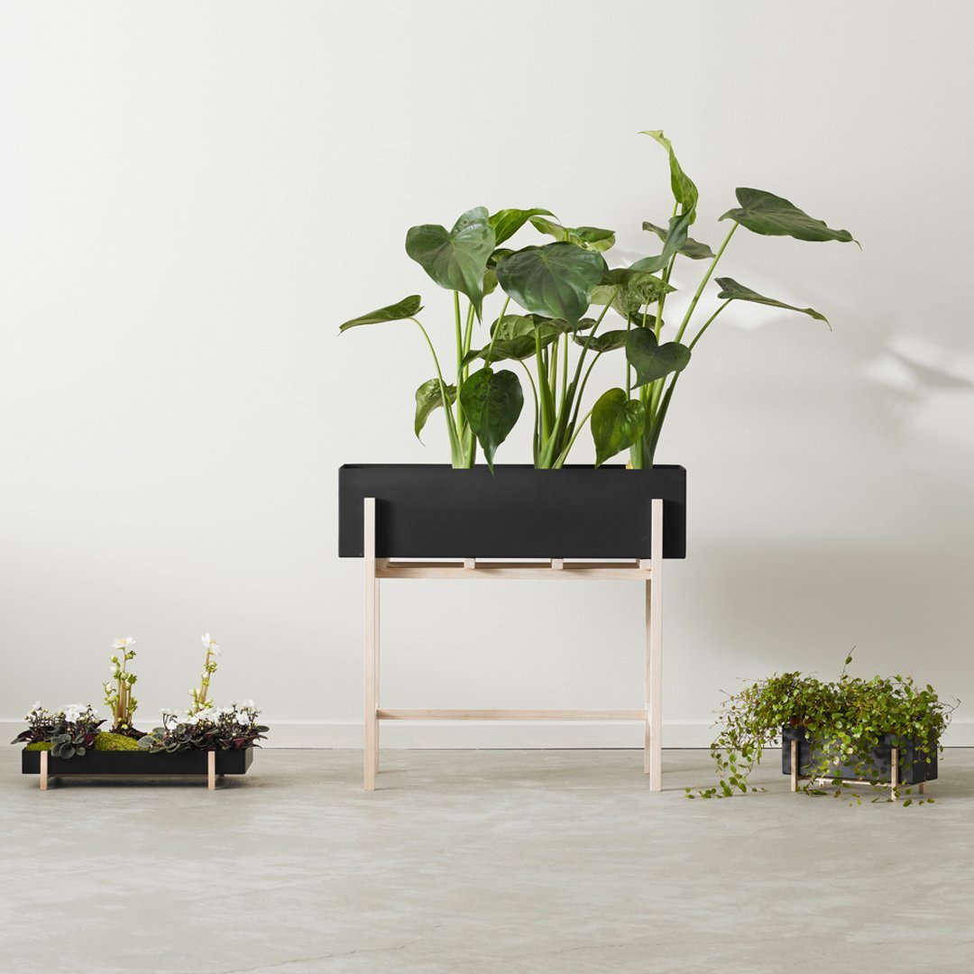Atelier Botanic Box - Premium Home Decor & Gift Boxes | Scandinavian Design from Stockholm | Perfect for Housewarming, Weddings & Special Occasions