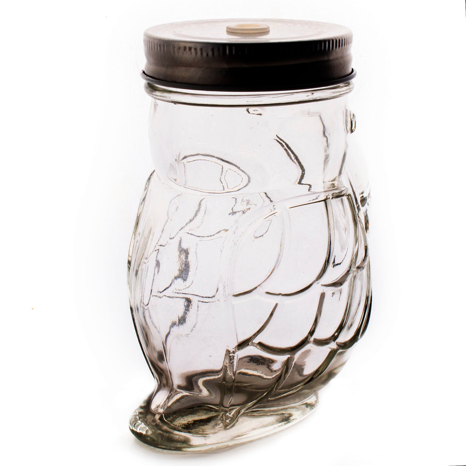 BarConic® 14oz Parrot Mason Jar with Lid - Airtight Glass Container for Canning, Storage & DIY Crafts - Perfect for Homemade Jams, Pickles, Coffee & Kitchen Organization