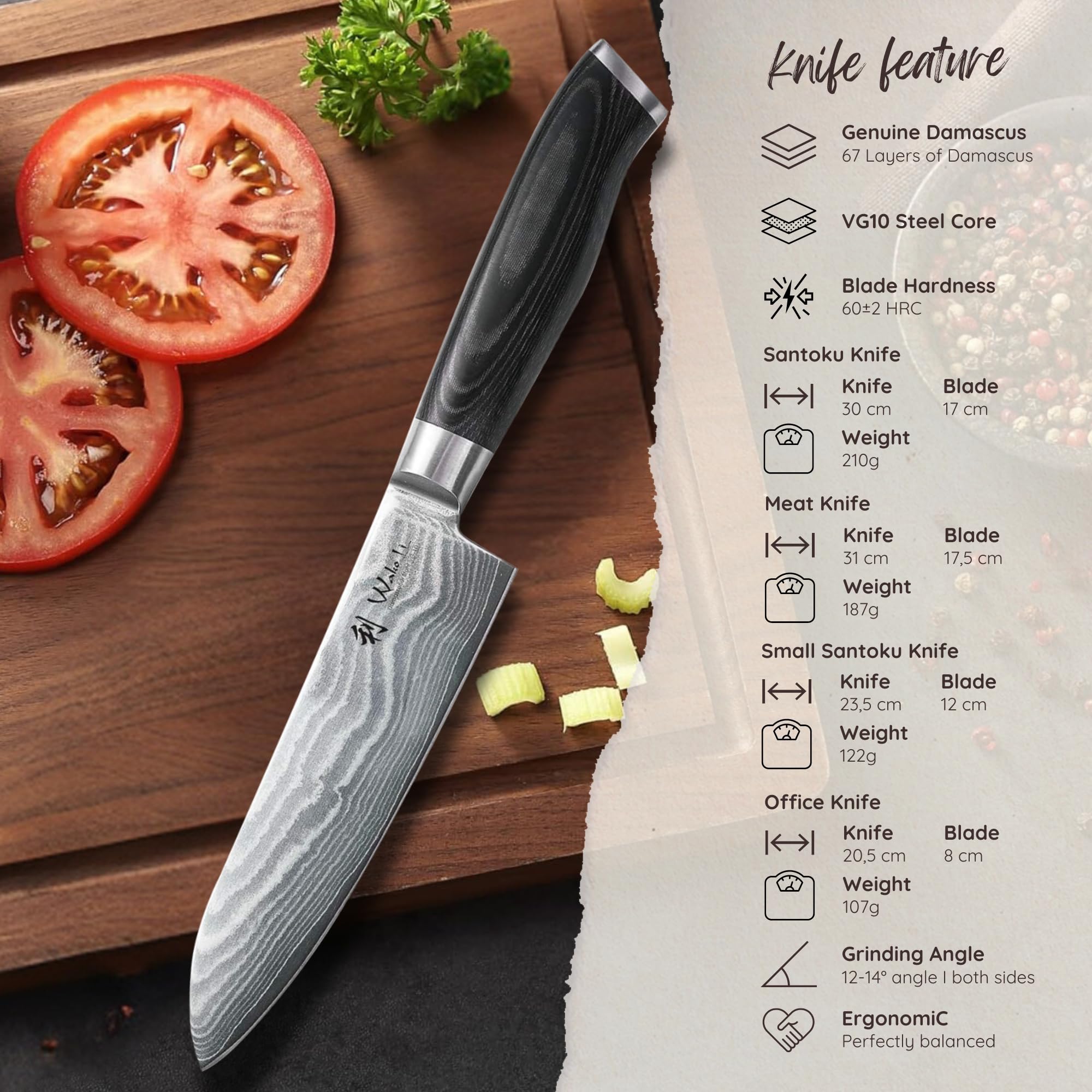 Wakoli 4-Piece Professional Damascus Kitchen Knife Set - 67-Layer Genuine Damascus Steel with VG10 Core - Ergonomic Micarta Handle Chef Knives for Precision Cutting - Perfect for Home Cooking, Professional Kitchens & Culinary Gifts