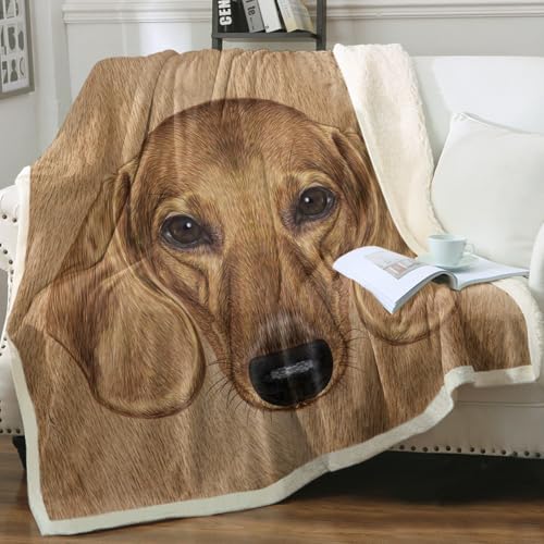 Shiny Dachshund