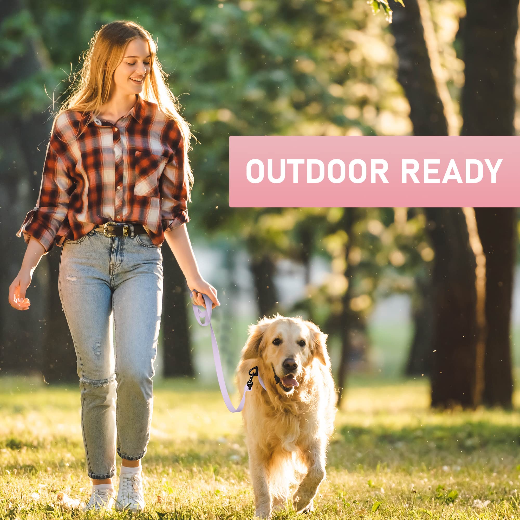 Biothane Heavy Duty Dog Leash - 6FT Waterproof Dog Lead for Large, Medium & Small Dogs - Made in USA with Brass Carabiner Clip (Lavender) - Perfect for Walking, Training & Outdoor Adventures