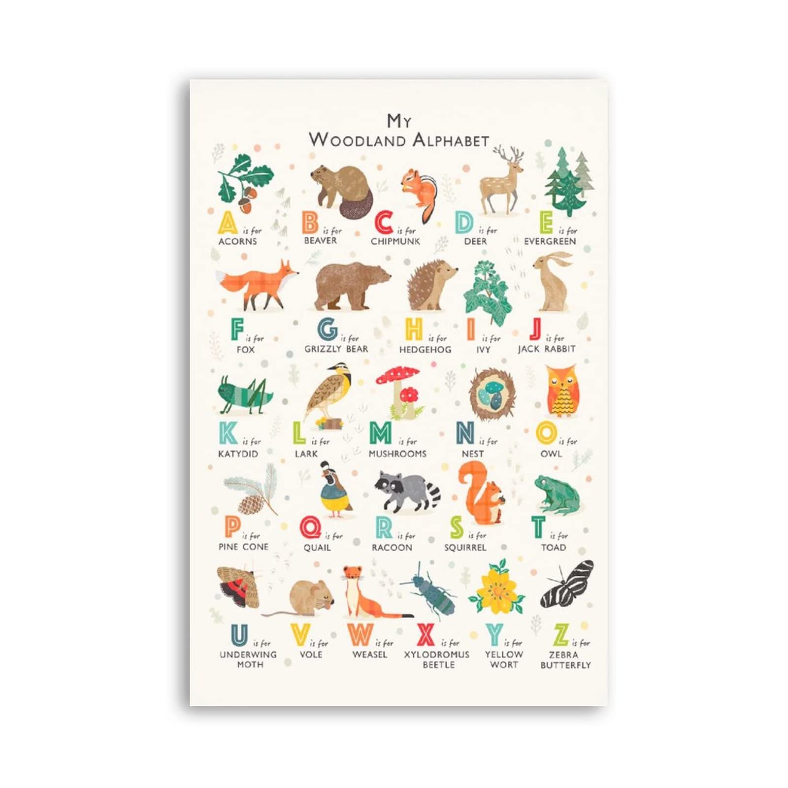 Woodland Forest Alphabet Poster - Nursery Wall Art, Educational Kids Decor, Canvas Print for Bedroom & Office - Unframed 08x12inch (20x30cm) | Perfect for Homeschooling, Classroom Decor & Nature-Themed Room Design