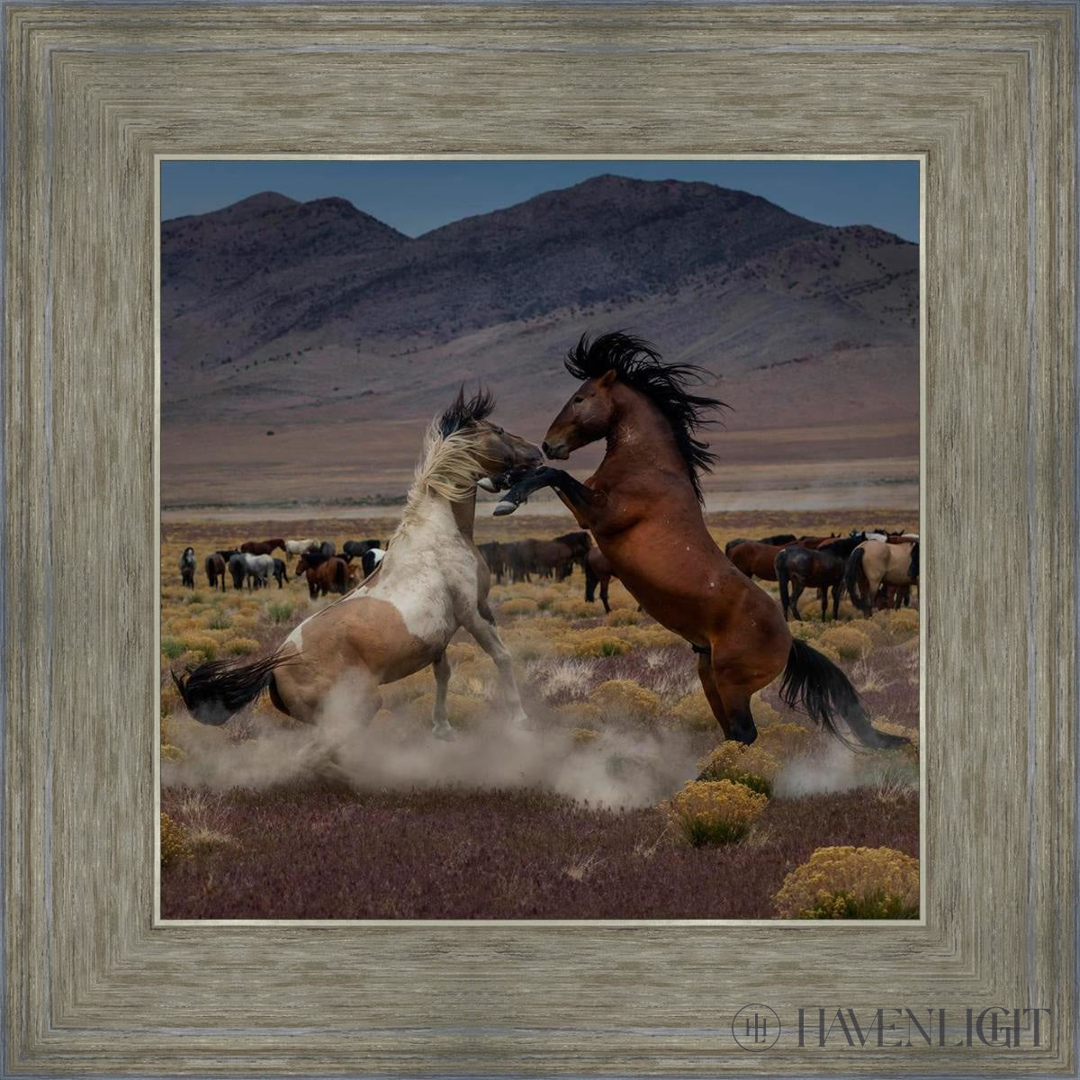 Desert Duel 5 by Greg Sargent - Western Action Novel - Perfect for Book Clubs & Cowboy Adventure Fans