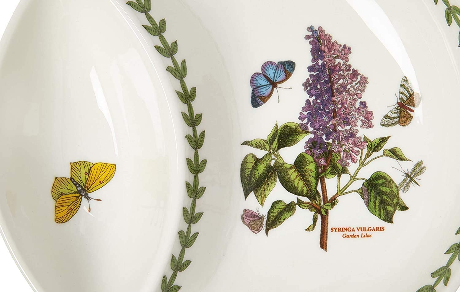Portmeirion Botanic Garden 6-Inch Round Divided Serving Dish with Lilac Floral Design - Chip-Resistant Porcelain Serveware for Oven, Microwave & Dishwasher - Perfect for Appetizers, Desserts, and Entertaining