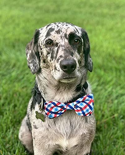 Huxley & Kent Extra-Large Pet Bow Tie - Picnic Check Pattern Dog & Cat Bow Tie Collar Attachment for 4th of July, Parties & Special Occasions | Cute Comfortable Durable Bowtie for Pets | H&K Pet Fashion Accessory