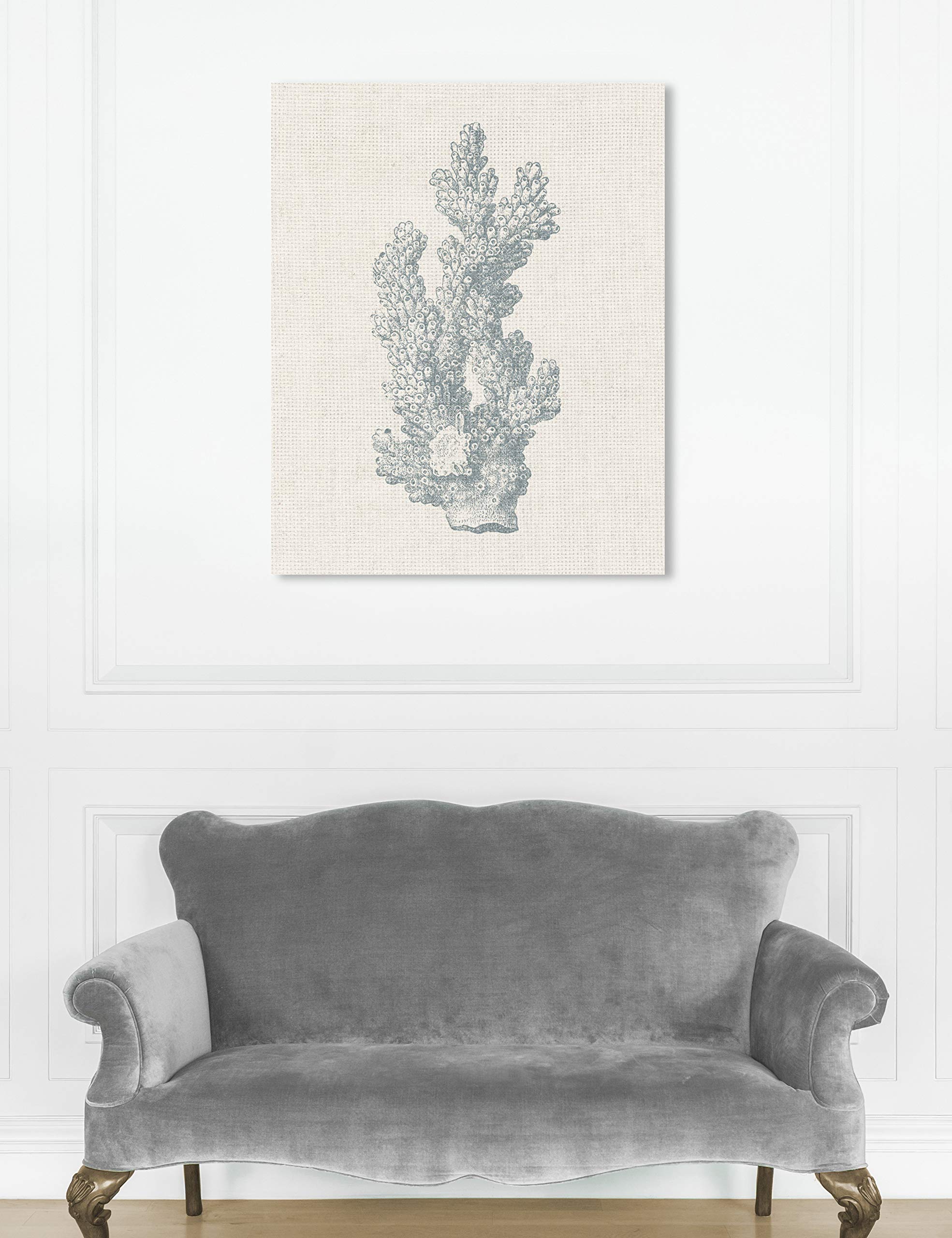 Oliver Gal Artist Co. Coastal Coral Wall Art Canvas Print - 30