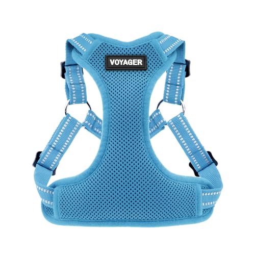 Harness (Baby Blue)