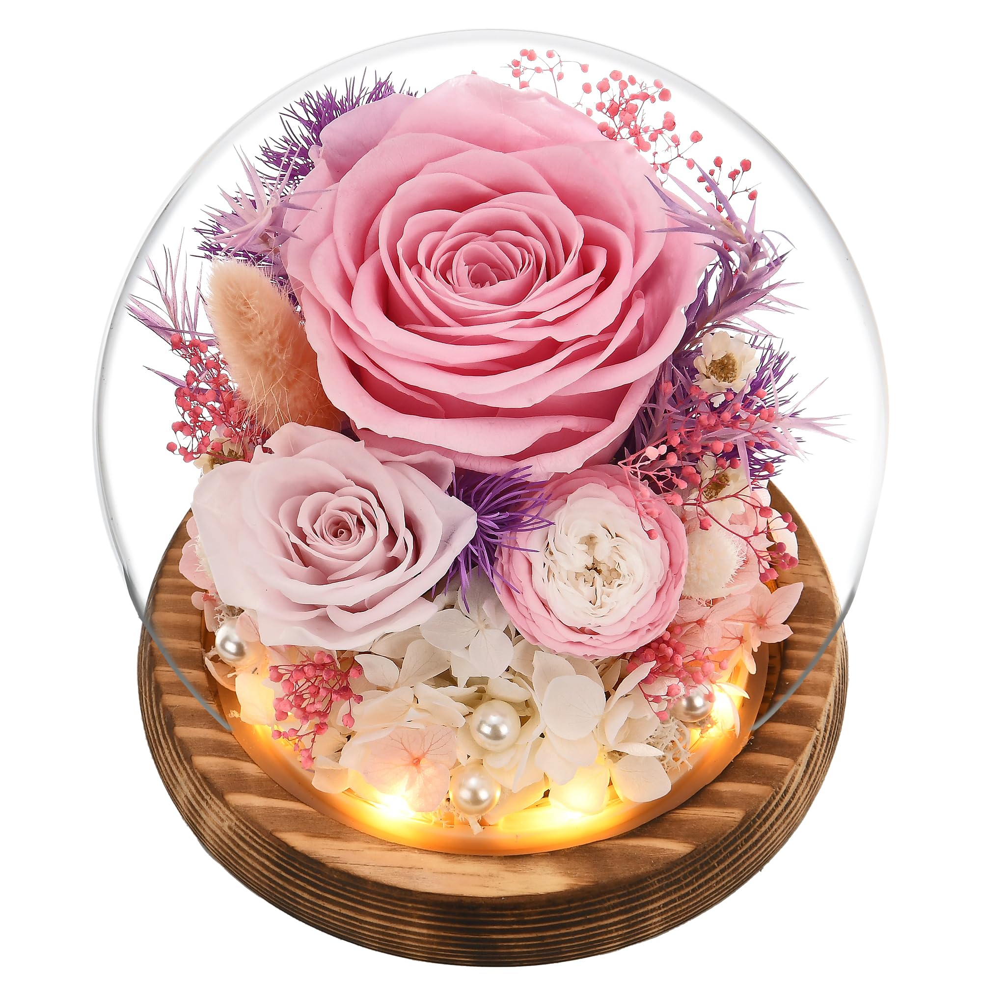 Preserved Roses in Glass Dome with LED Light - Perfect Gift for Women, Mom, Grandma - Mother's Day, Birthday, Valentine's Day Present (Pink) | Home Decor, Wedding Centerpiece, Romantic Keepsake