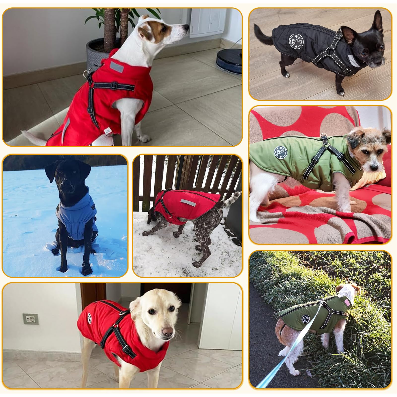 Warm Dog Jacket with Built-in Harness - Fleece Winter Coat for Small Medium Large Dogs | Waterproof Reflective Vest for Cold Weather | Perfect for Outdoor Walks & Winter Adventures (Blue, Size M)