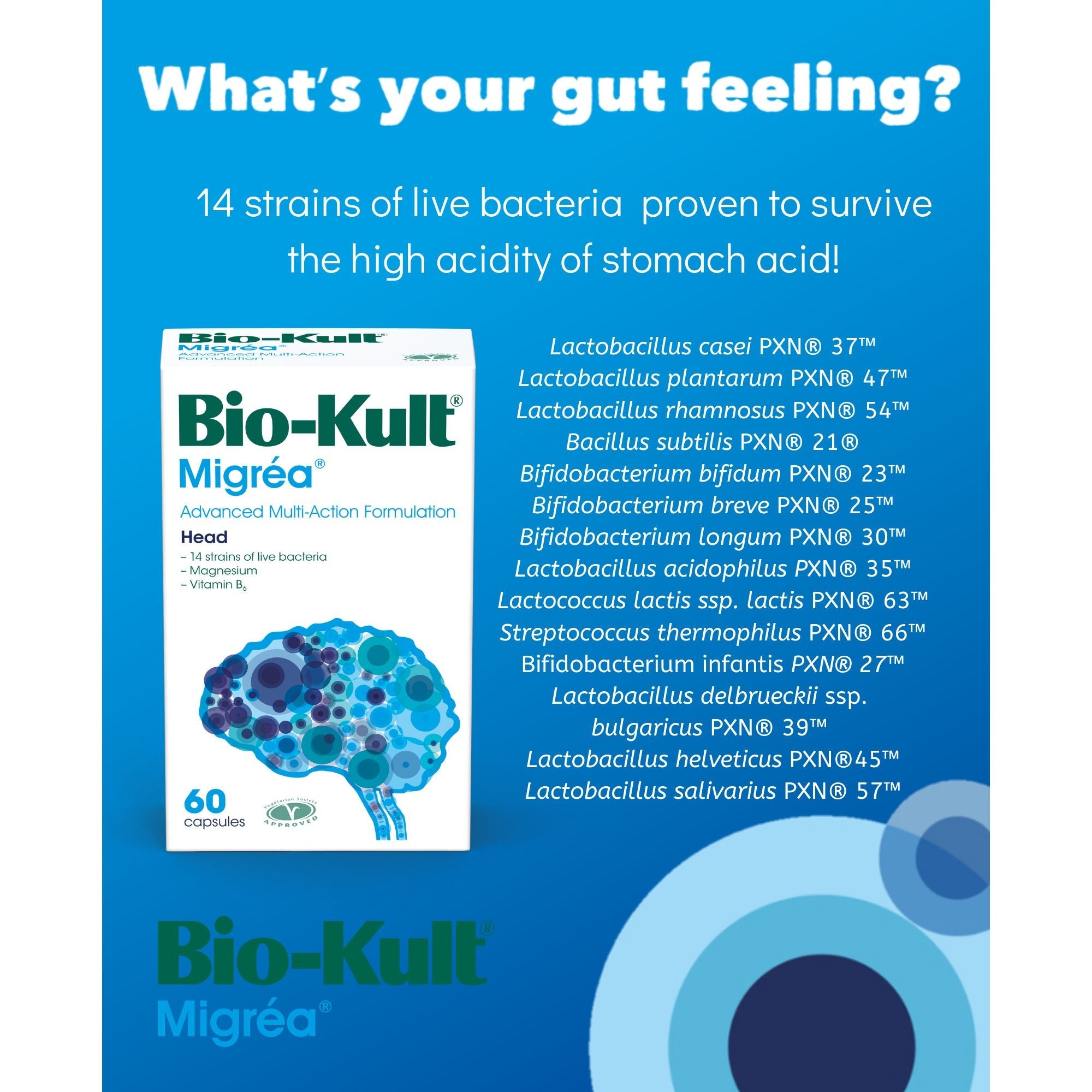 Bio Kult Migréa 60 Capsules - Natural Migraine Relief Supplement with Probiotics & Vitamins - Supports Headache & Stress Relief - Perfect for Travel, Work & Daily Wellness