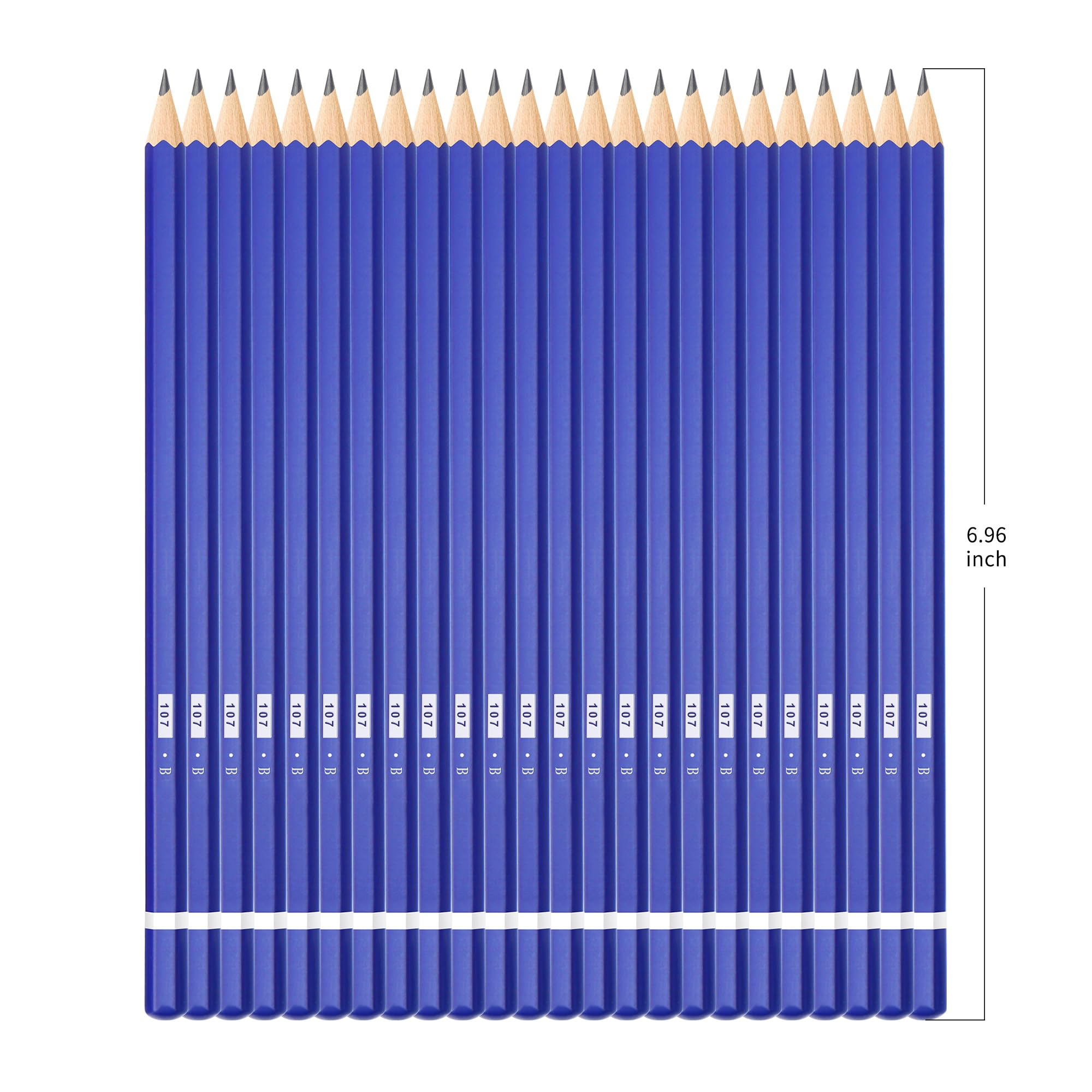XDT#B 24-Piece Professional Drawing Pencil Set - Graphite Sketching & Shading Art Supplies for Beginners, Students & Artists - Perfect for Sketching, Shading, Portrait Drawing & Art Classes