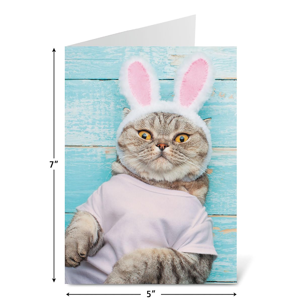 Premium Dog & Cat Easter Greeting Card Set - 8 Large 5x7 Inch Cards with 4 Cute Designs & White Envelopes | Perfect for Kids, Adults, Easter Gifts & Spring Celebrations | Ideal for Family, Friends, Teachers & Coworkers