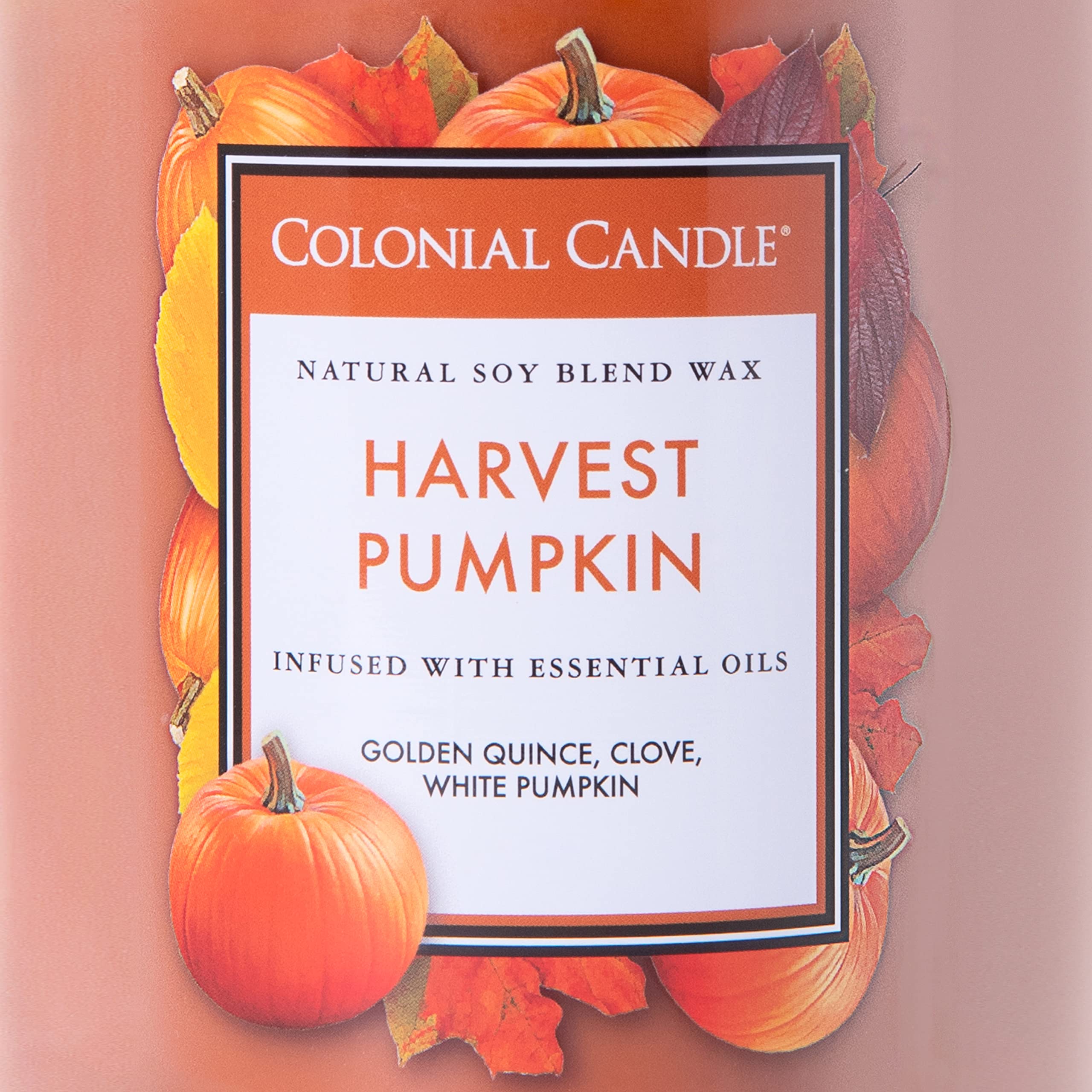 Colonial Candle Harvest Pumpkin Scented Jar Candle - Classic Cylinders Collection, 2-Wick, 19oz Orange Candle with 120-Hour Burn Time | Fall Home Decor, Thanksgiving Centerpiece, Cozy Autumn Ambiance