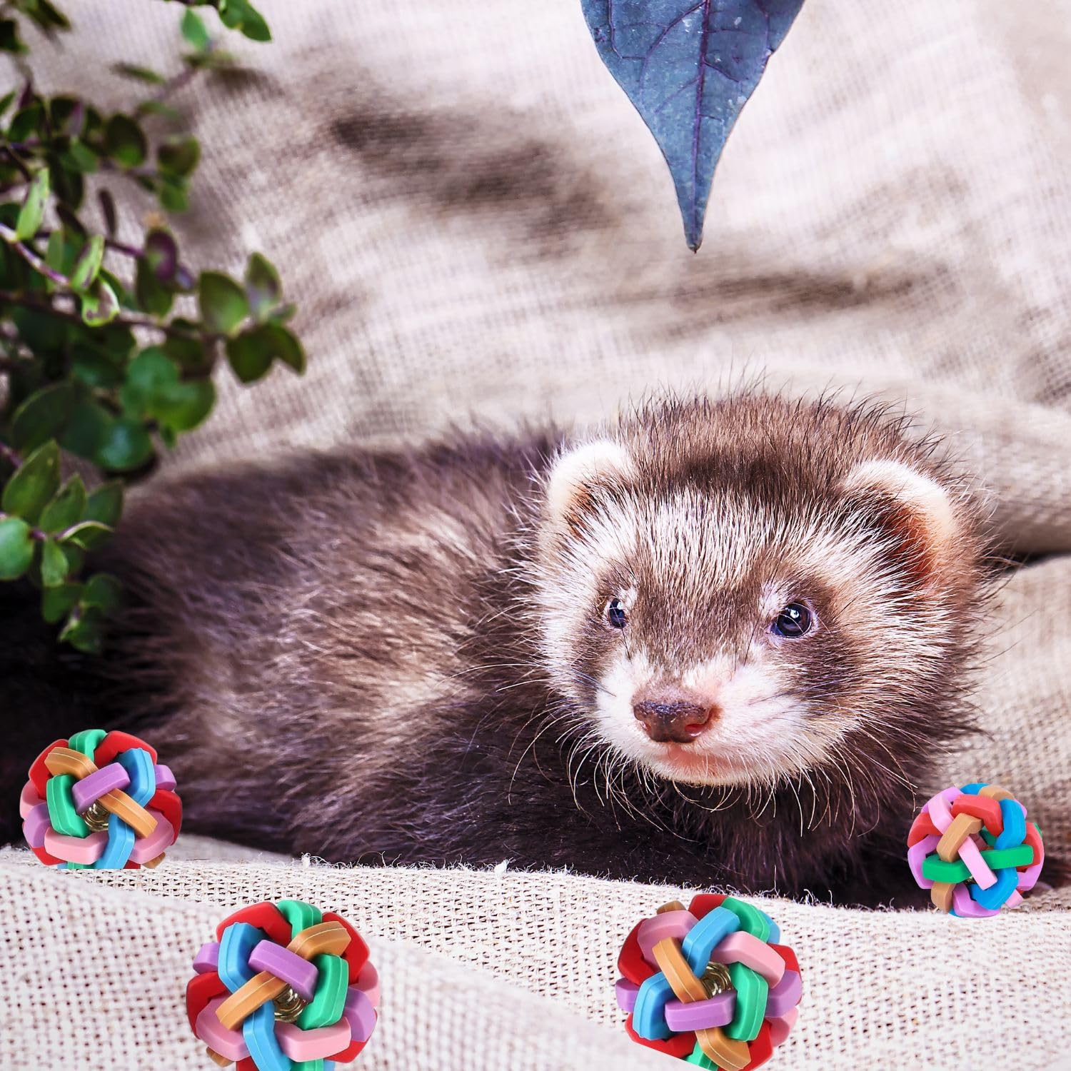 4 Pack Ferret Toys - Colorful Bouncy Rubber Balls with Built-in Bell, Interactive Sound Toys for Ferrets, Cats & Dogs - Teeth Grinding, Exercise & Play - Perfect for Indoor Pets & Playtime Fun