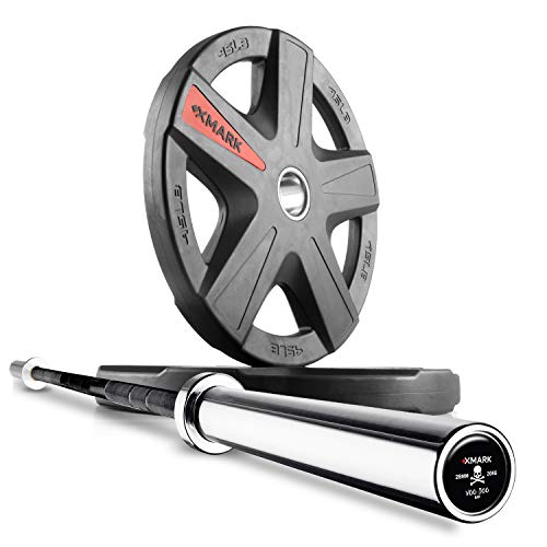03) BAR and Pair of 45 lb