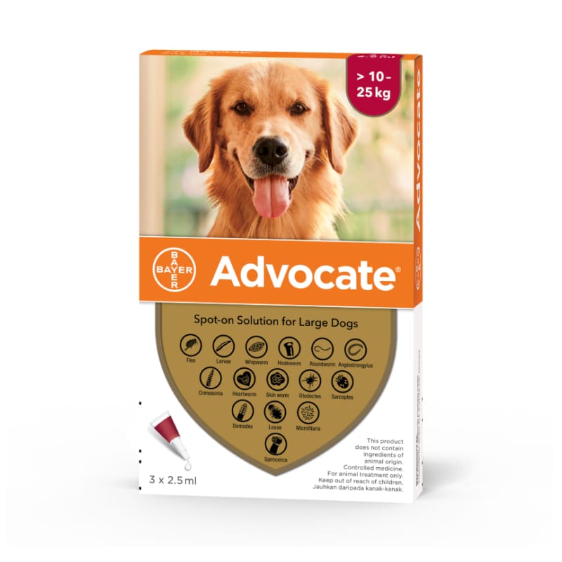 Advocate Flea & Tick Treatment for Large Dogs 10-25kg | Fast-Acting Protection for Home & Outdoor Use