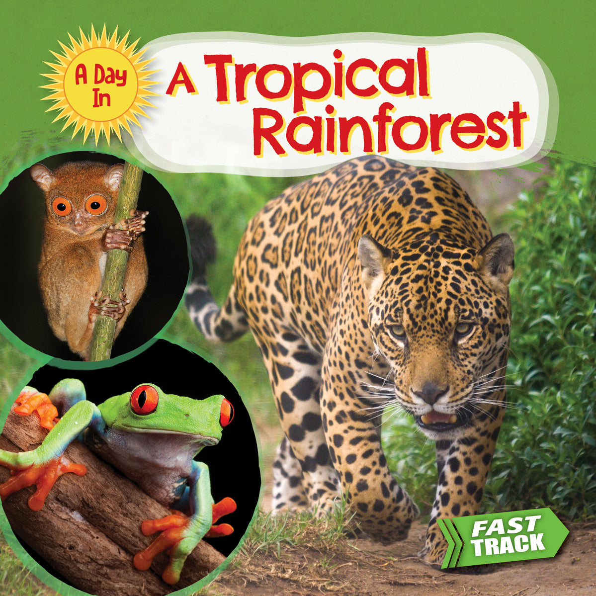 Tropical Rainforest Wall Art - Stunning Nature Prints for Home & Office Decor - Perfect for Living Room, Bedroom, or Workspace