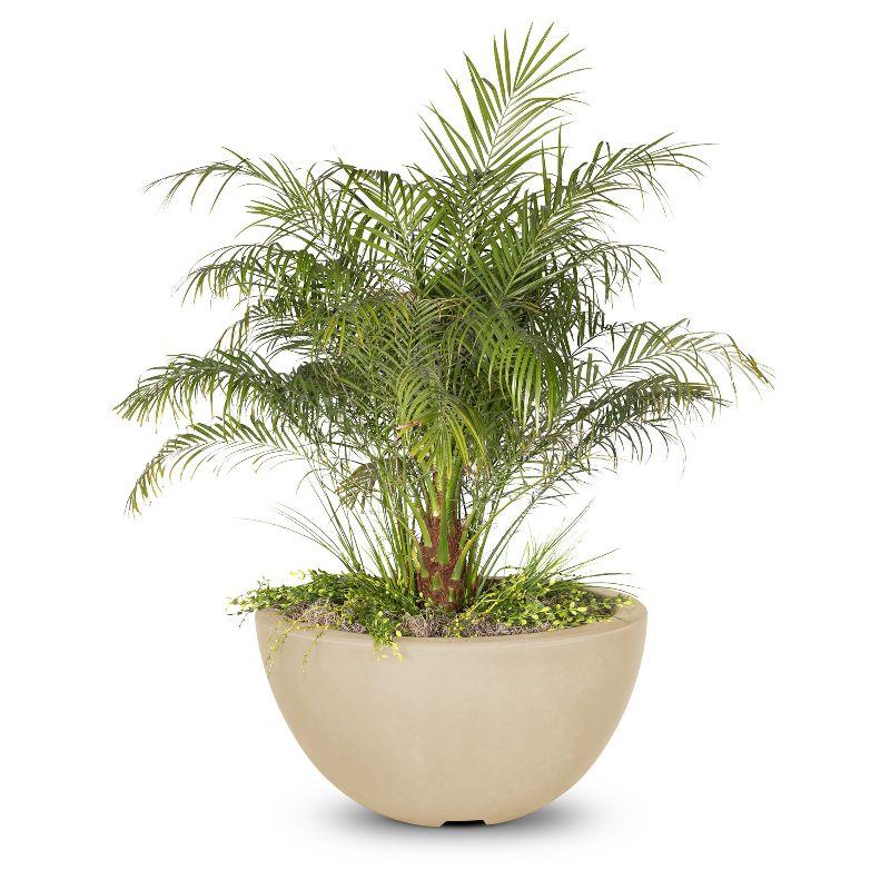 Luna Planter Bowl - Modern Ceramic Flower Pot for Indoor Plants, Succulents & Home Decor | Perfect for Living Room, Office & Garden Decorations
