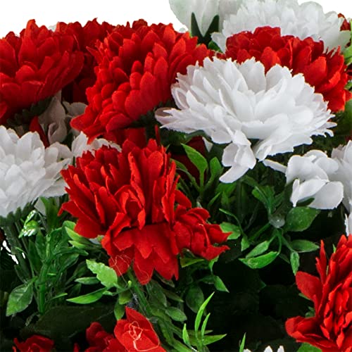 Red White