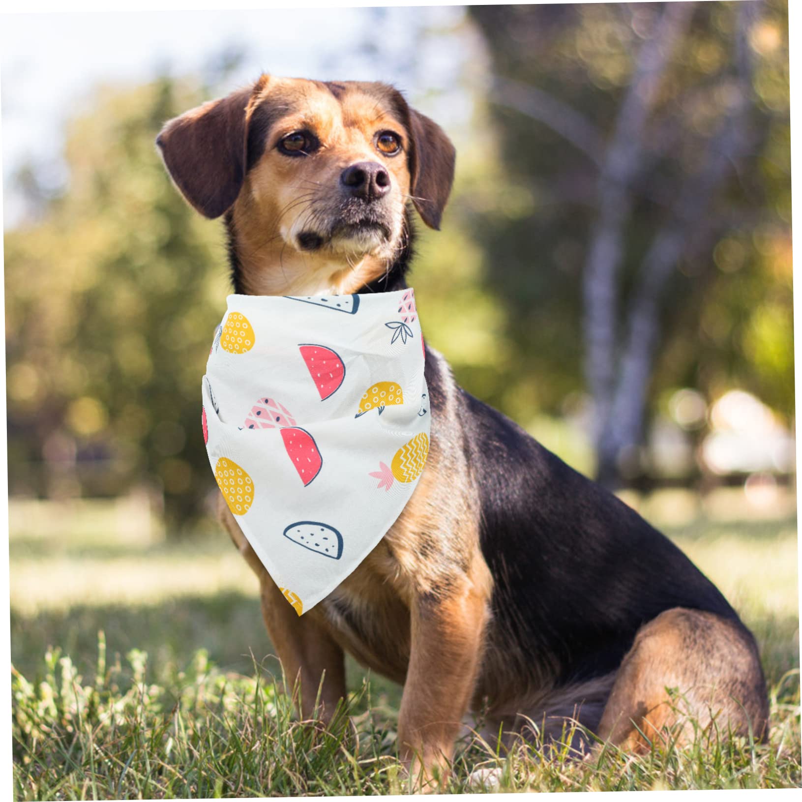 Kisangel Dog Bandana - Triangle Pet Bandana for Small & Large Dogs, Adjustable Dog Scarf for Parties, Holidays & Daily Wear - Cute Dog Outfit Accessory for Christmas, Halloween & Outdoor Adventures