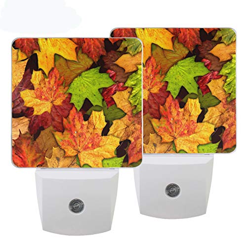 Maple Leaf