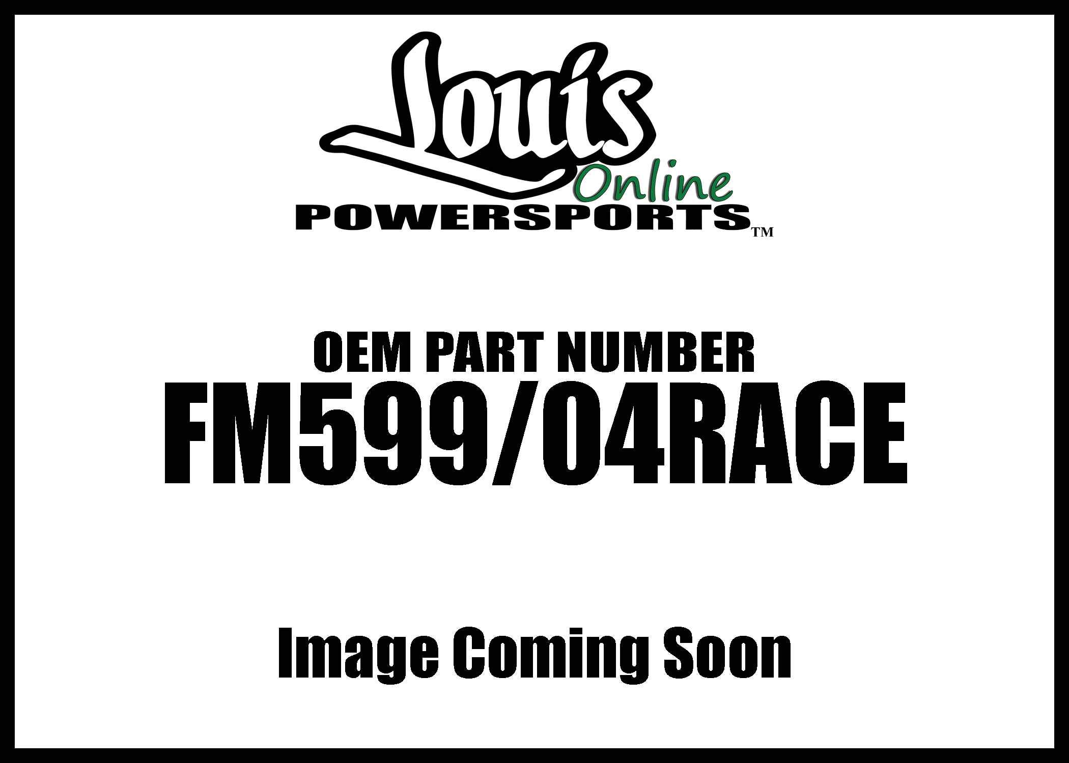 BMC Air Filter FM599/04 Race for Kawasaki ZX10R - High Performance Motorcycle Air Filter for Racing & Track Use