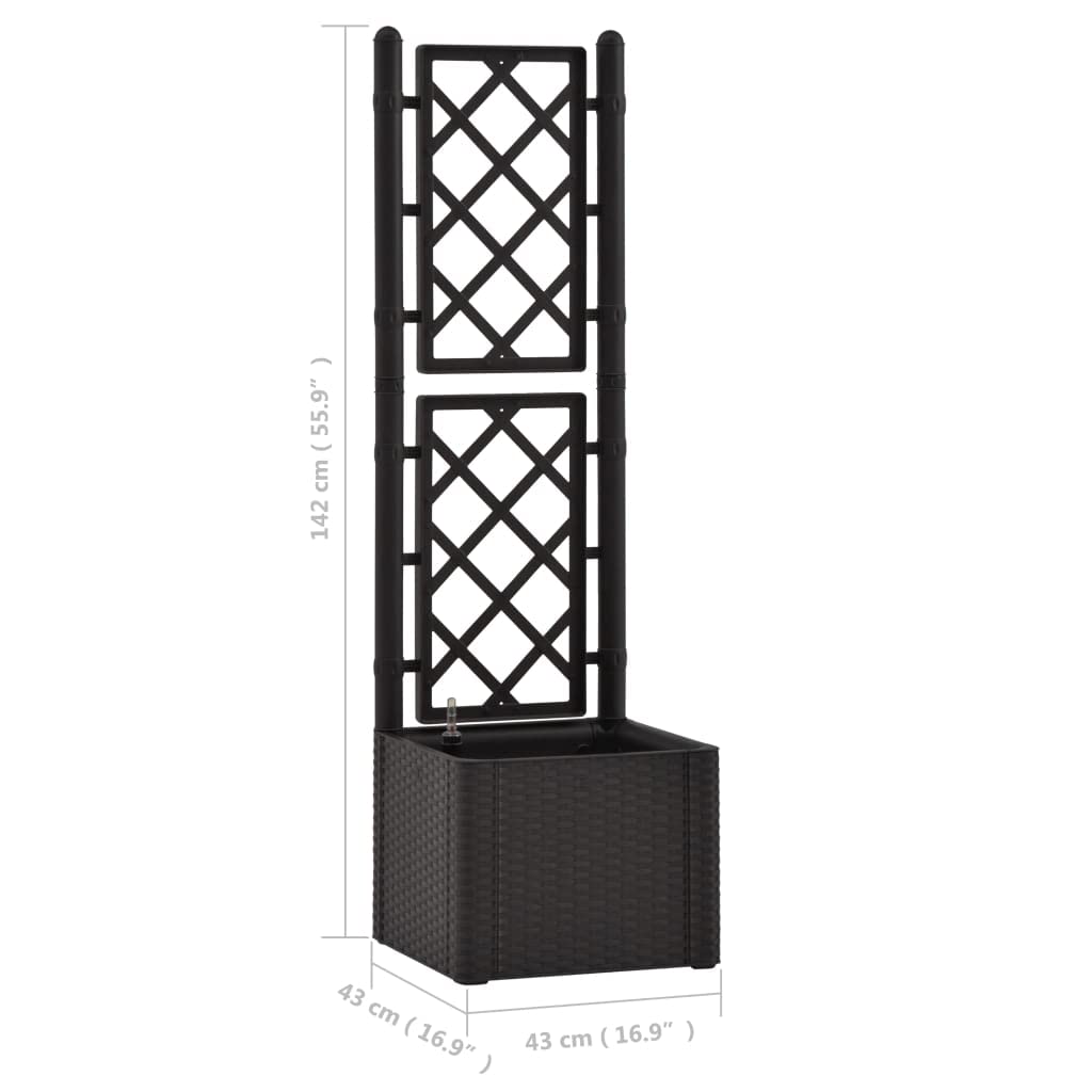 vidaXL Raised Garden Bed with Trellis - Self Watering Planter with Water Level Indicator for Flowers, Vegetables & Plants - Durable PP Material in Anthracite - Perfect for Indoor & Outdoor Gardening, Patio, Balcony & Backyard