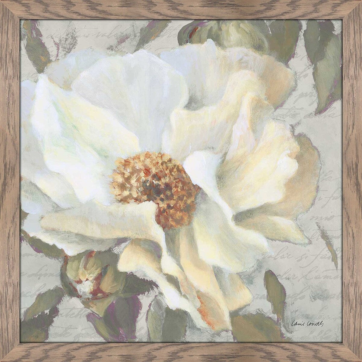 Blooming Peony Letter II by Lanie Loreth - Premium Acrylic Wall Art Print - Elegant Floral Home Decor for Living Room, Bedroom & Office