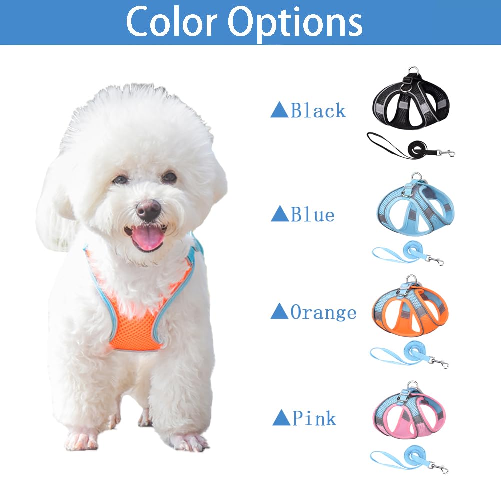 No-Pull Adjustable Mesh Cat & Small-Medium Dog Harness with Leash - Step-in Vest for Puppies & Small Breeds - Comfortable Walking Pet Harness Set for Daily Walks, Hiking & Outdoor Adventures