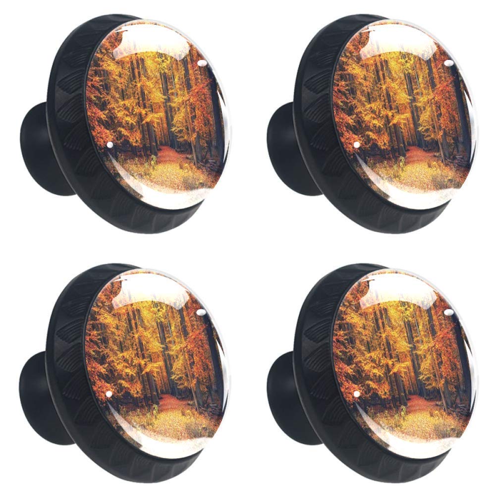 4-Pack Fall National Park Themed Kitchen Cabinet Knobs & Drawer Pulls - Vintage Dresser Handles with Screws for Cabinets, Cupboards & Furniture (Perfect for Rustic, Farmhouse & Nature-Inspired Home Decor)