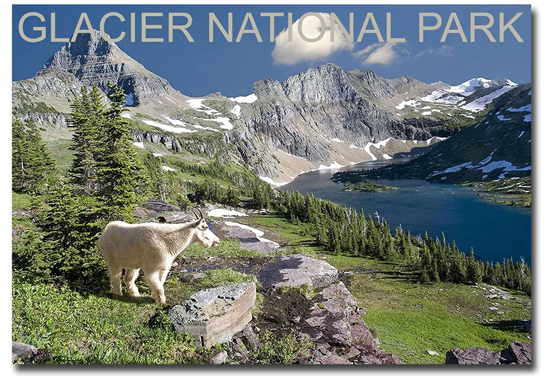 Logan Pass Glacier National Park Montana & Mountain Goat Travel Refrigerator Magnet - 2.5x3.5 Inch Multicolor Souvenir - Perfect for Fridge, Office Decor, Travel Memories & Gift Giving