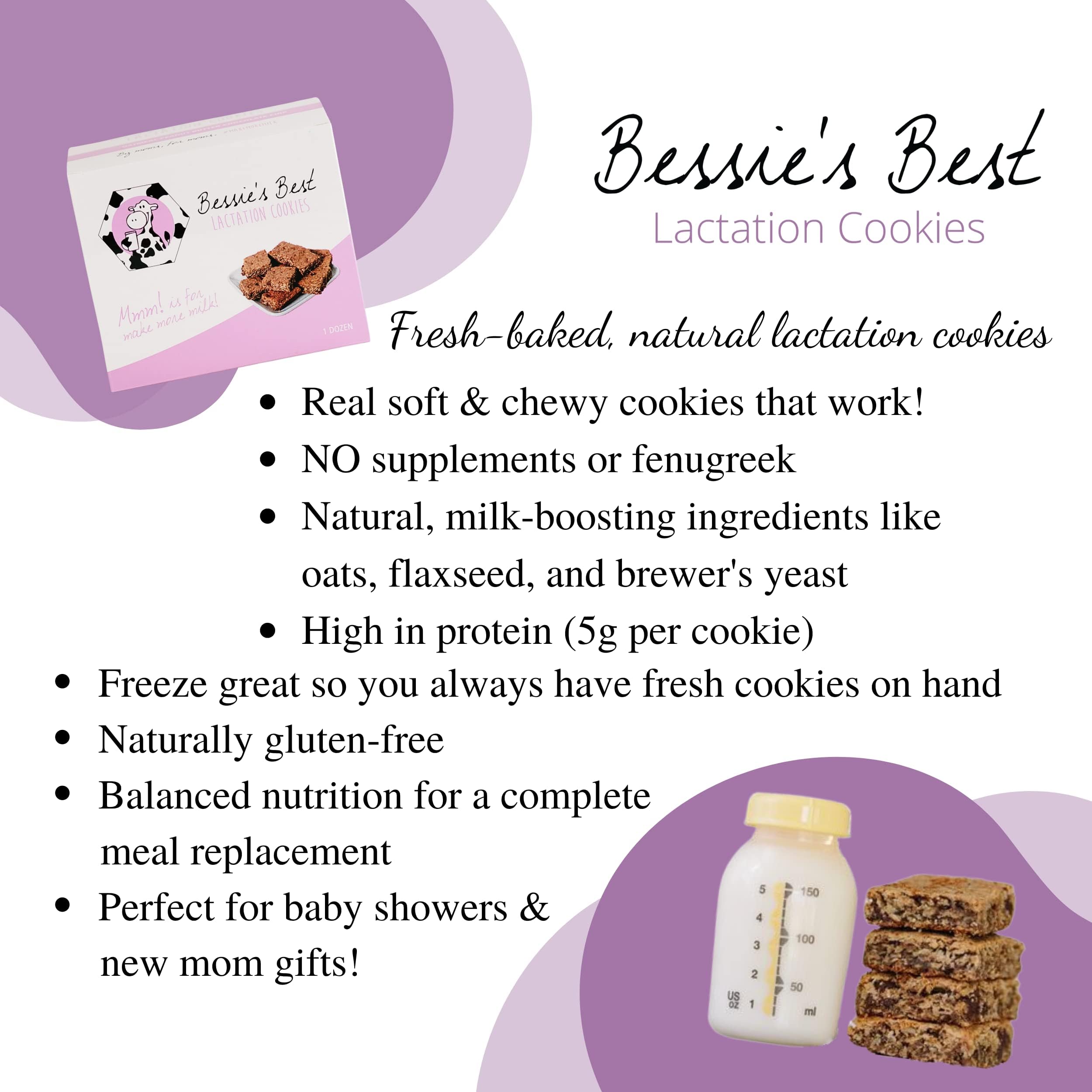 Bessie's Best Lactation Cookies - Oatmeal Peanut Butter Chocolate Chip for Breastfeeding Moms | 1 Dozen Pack | Milk Supply Boost Snacks