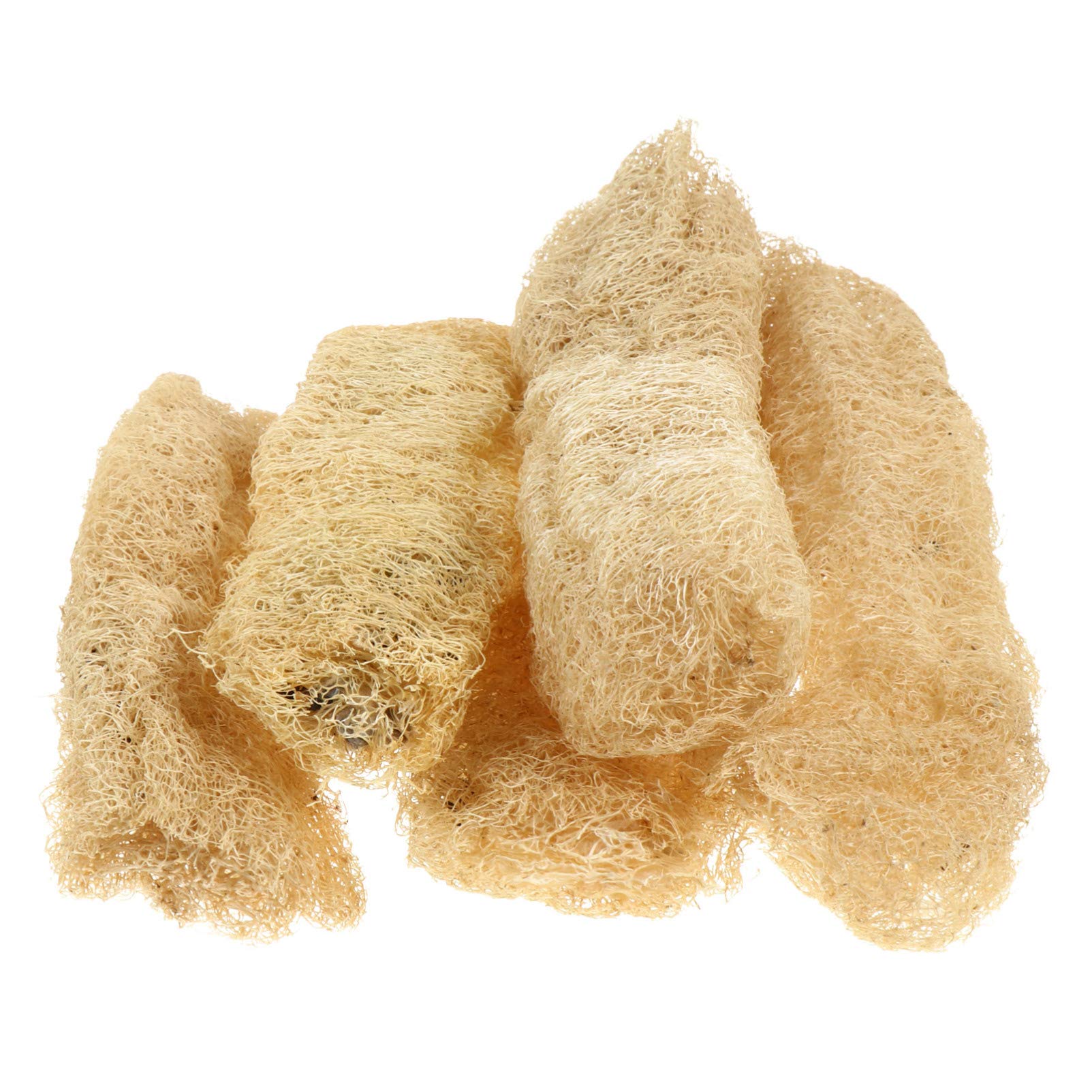 Alipis 5Pcs Natural Loofah Chew Toys for Hamsters & Small Pets - Teeth Care & Molar Grinding Toys for Dental Health - Perfect for Cage Enrichment & Chewing Needs